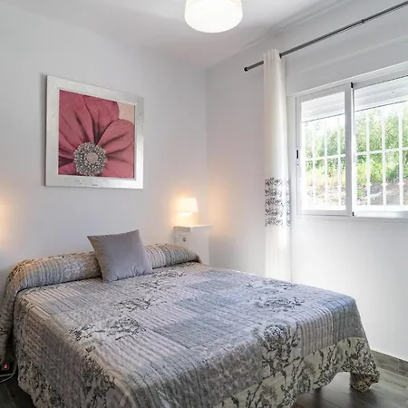 Pet Friendly In
